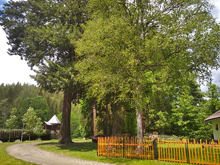 Apartmny U Smetanova smrku, ekova Pila, umava